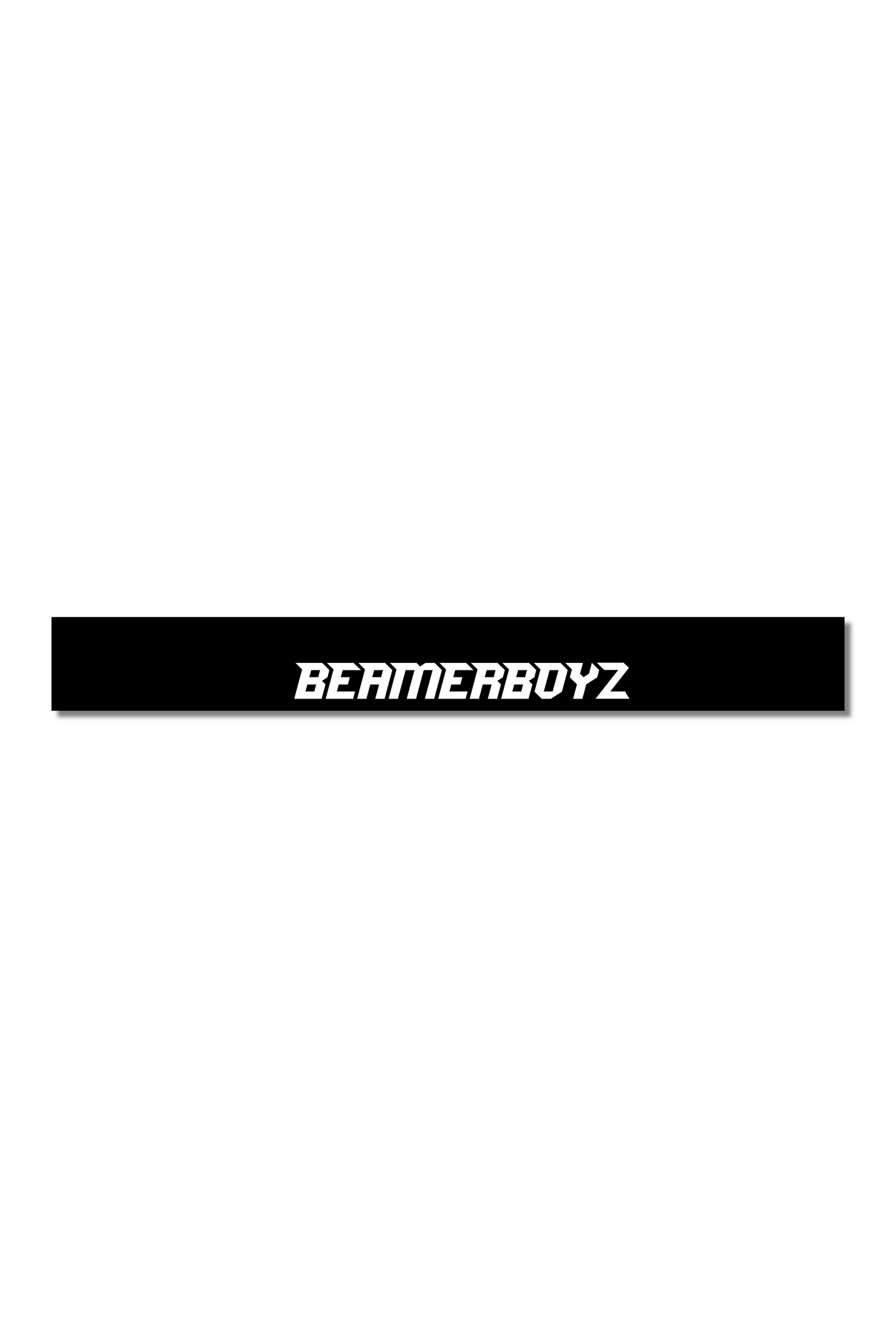 BEAMERBOYZ BANNER V1